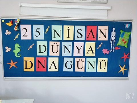 ANADOLU LİSESİ  ÖĞRENCİLERİMİZDEN DNA GÜNÜ ETKİNLİĞİ