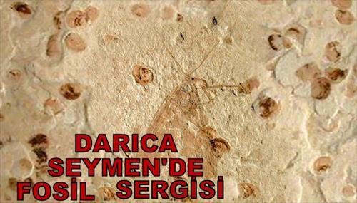 DARICA SEYMEN DE FOSİL SERGİSİ